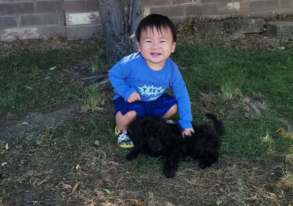Child and puppy