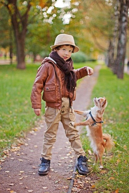 boy, dog, pug, a small dog, nature, friend, animal, puppy, pets, friend of human, pet, devotion, kids, child