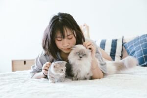 pexels-photo-2215599-2215599 Young Asian woman relaxing on a bed with two fluffy cats in a cozy bedroom.
