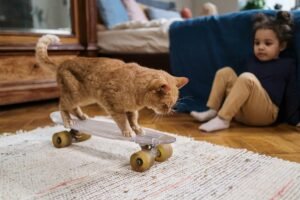 Adorable ginger cat skateboarding with child watching indoors, capturing playful and joyful moments.