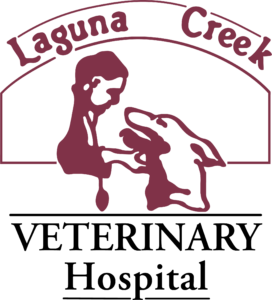 Laguna Creek Veterinary Hospital Logo of a person and dog