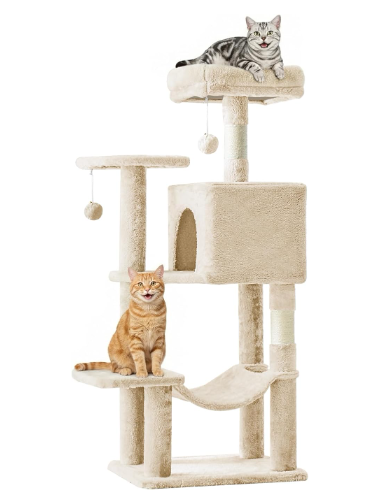 2 cats on a cat tree