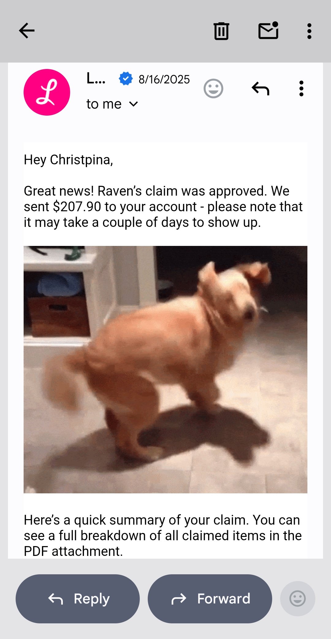 Email confirming claim was approved from Lemonade Pet Insurance